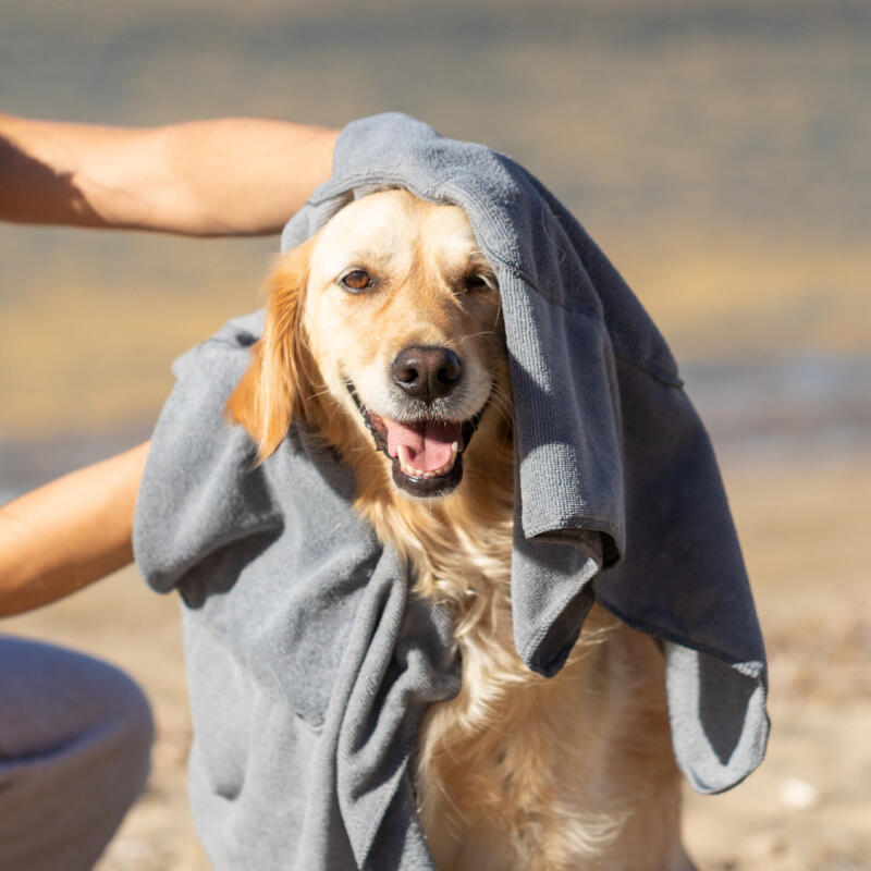 Toalla Mascotas Yelyn - Imagen 5