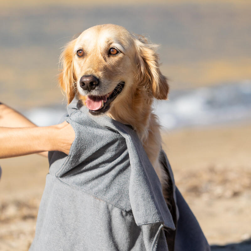 Toalla Mascotas Yelyn - Imagen 6