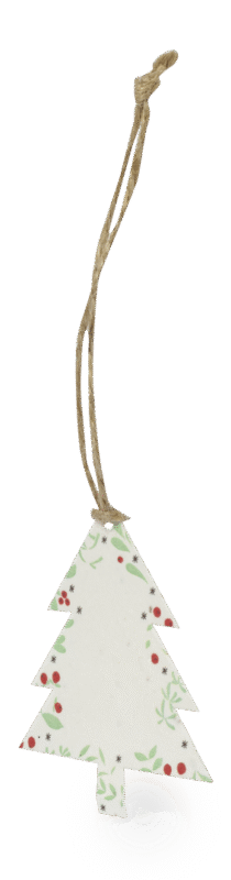 Adorno Semillas Boster - Imagen 13