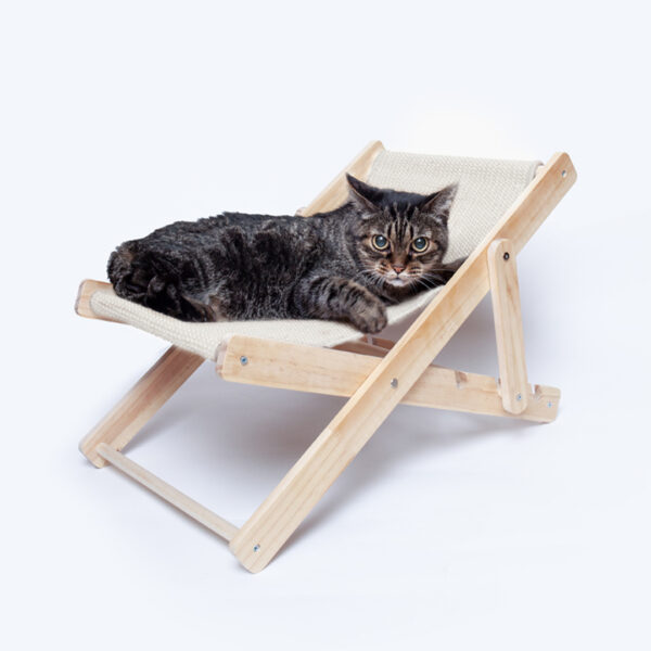 Silla Mascotas Diny - Imagen 7