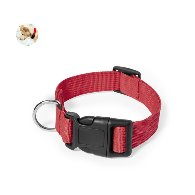 Collar Mastif