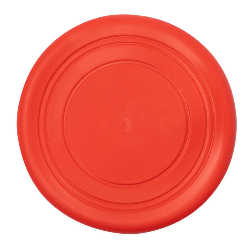 Frisbee Girud - Imagen 5