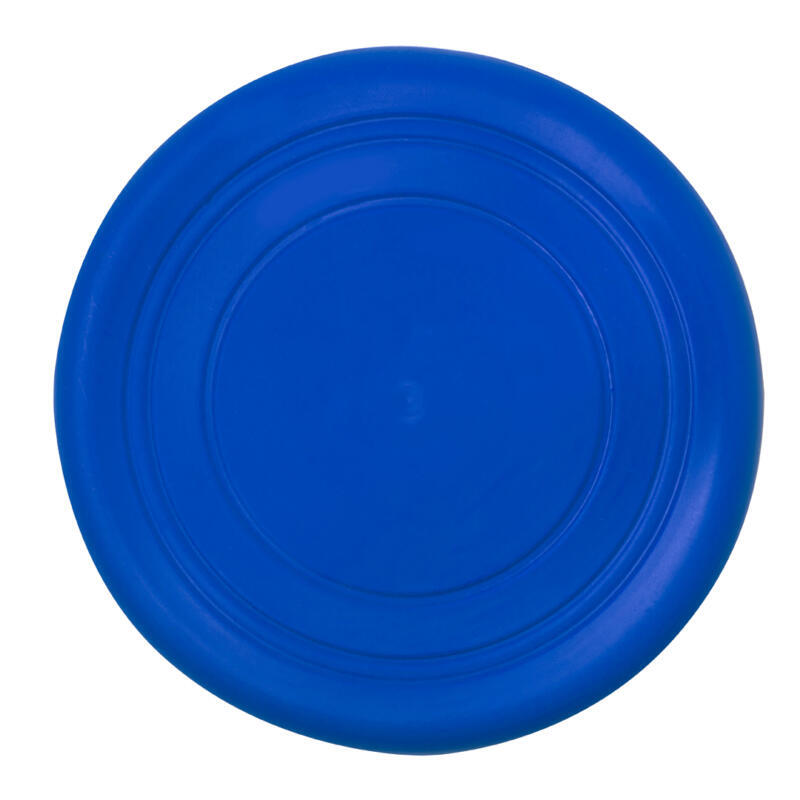 Frisbee Girud - Imagen 2