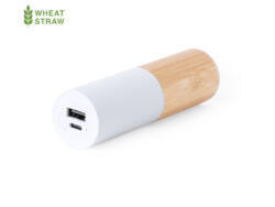 Power Bank Reneh