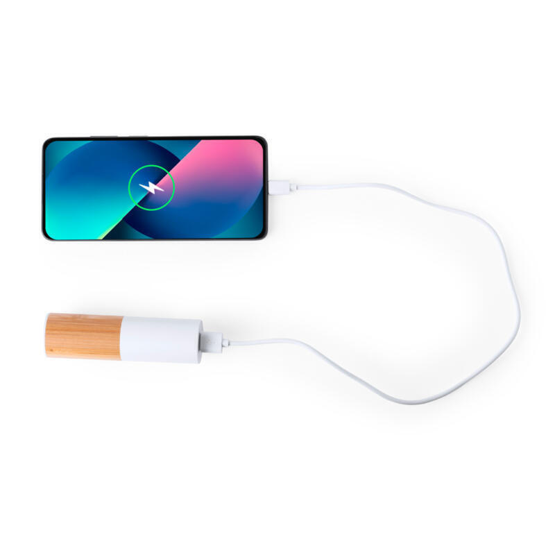 Power Bank Reneh - Imagen 4