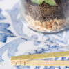 Terrarium Anymak - Imagen 6