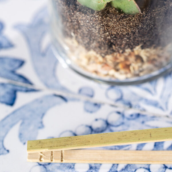 Terrarium Anymak - Imagen 6