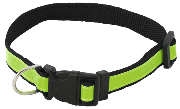 Collar Muttley - Imagen 6