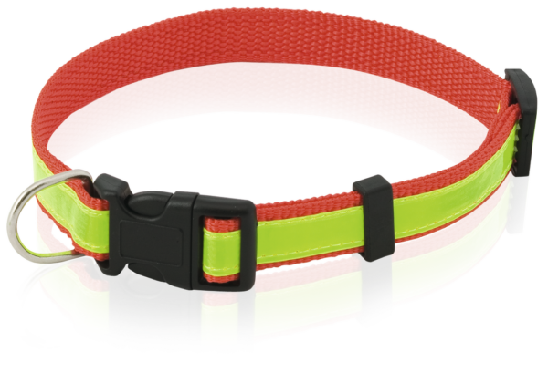 Collar Muttley - Imagen 7