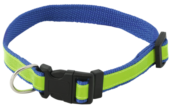Collar Muttley - Imagen 8