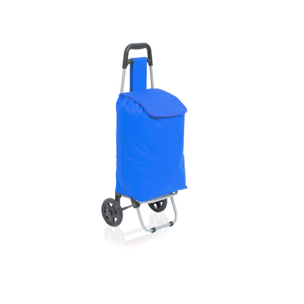 Carro Compra Max - Imagen 9