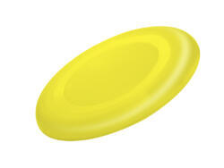Frisbee Girox