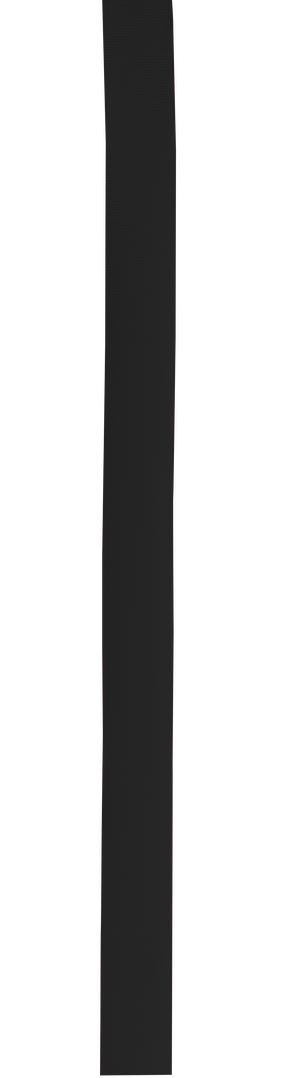 Cinta Sombrero Polyester - Imagen 22