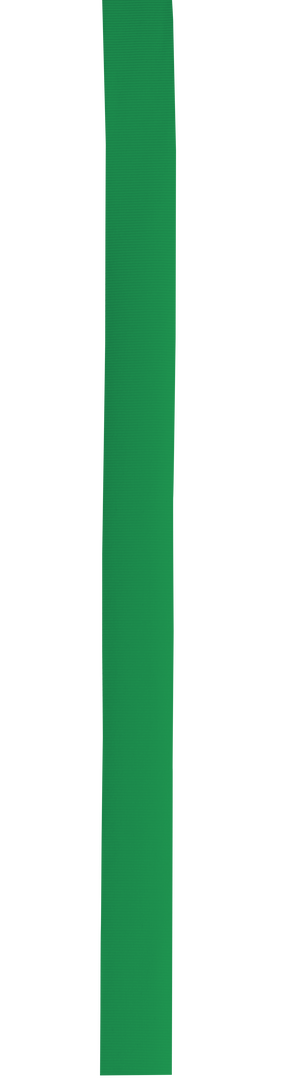 Cinta Sombrero Polyester - Imagen 23