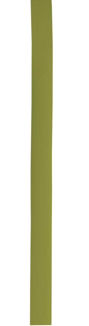 Cinta Sombrero Polyester - Imagen 24