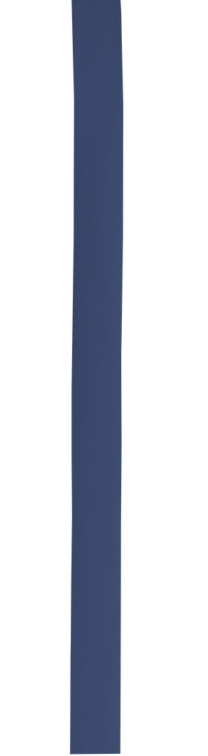 Cinta Sombrero Polyester - Imagen 25