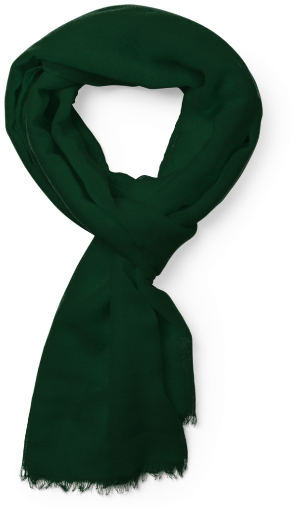 Foulard Ribban - Imagen 15