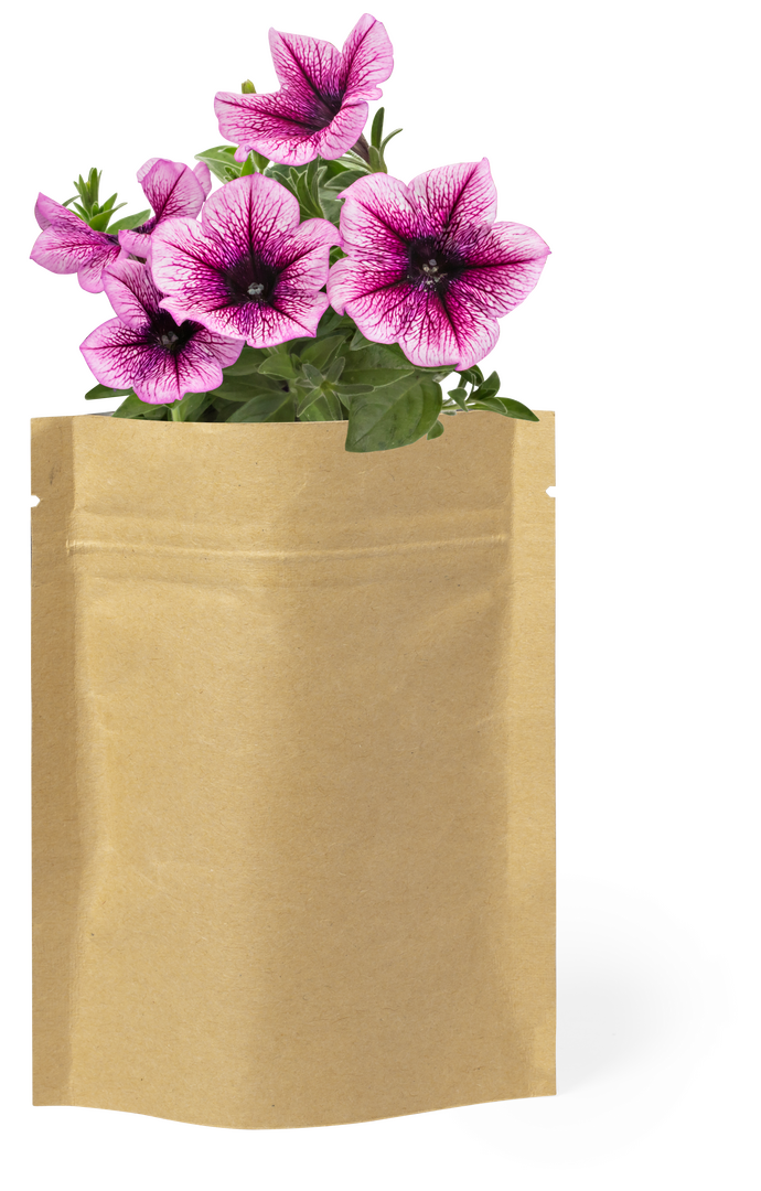 Maceta Sober - Imagen 4