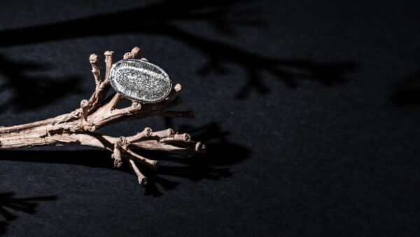 Anillo Ajustable Hansok - Imagen 4