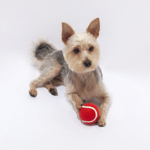 Pelota Niki - Imagen 8